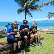 Coconut rehydration